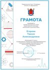2023-2024 Егорова Таисия 11ли (РЭ-русс.язык-Дмитрик А.А.)